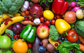 colourful array of various fresh fruits and vegetables