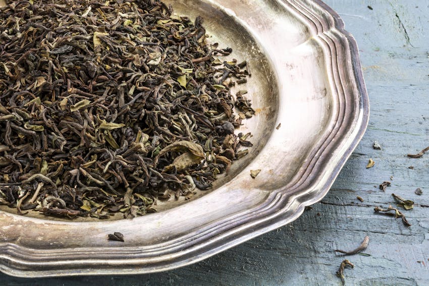 Darjeeling - one of the world's most famous teas