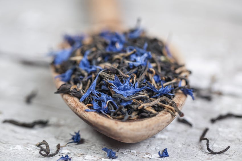 Earl Grey - one of the world's most famous teas