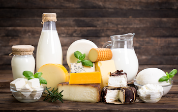 Milk Allergy Deep Dive - Selection of milk and dairy products 