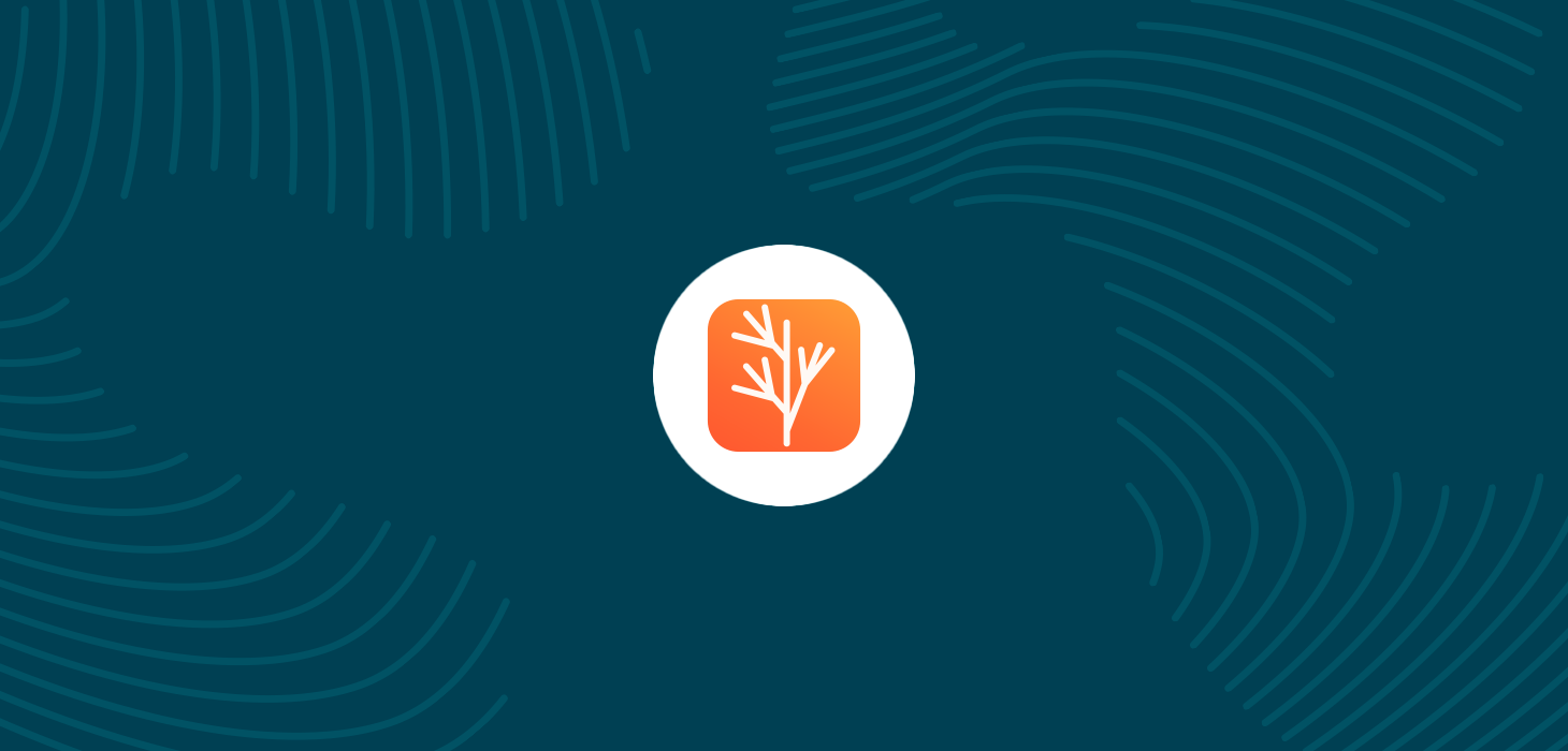 Erudus Integration Partner Dill logo