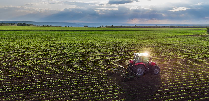 Red Tractor Certification - Crop field