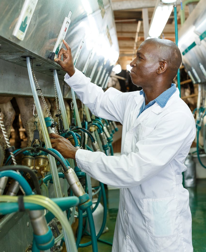 Red Tractor Certification - Milk inspection