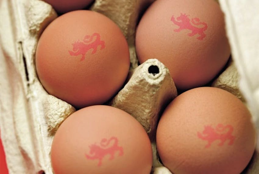 Erudus… Provides British Lion Certification - British Lion eggs