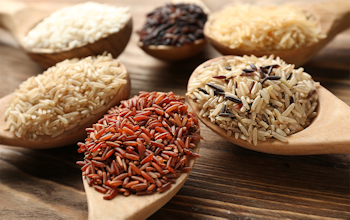 Rice guide - different varieties of rice 
