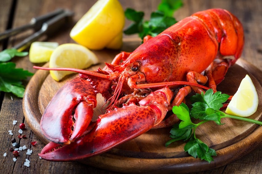 Allergen Deep Dive: Crustaceans - Lobster 