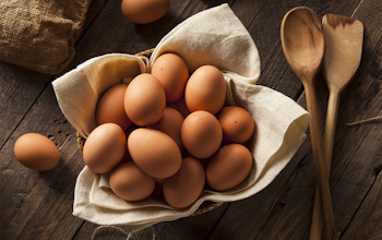 Allergen Deep Dive: Eggs  Allergen Deep Dive: Eggs