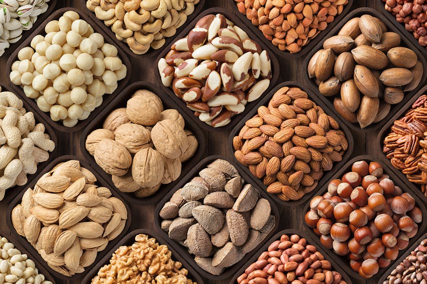 Allergen Deep Dive: (Tree) Nuts