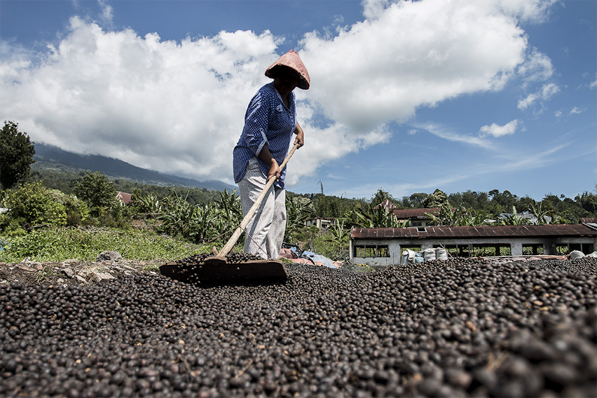 Erudus… Provides Fairtrade Certification