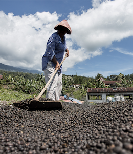 Erudus… Provides Fairtrade Certification