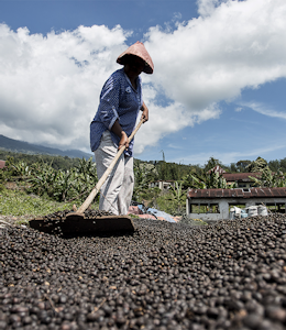 Erudus… Provides Fairtrade Certification Erudus… Provides Fairtrade Certification