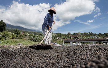 Erudus… Provides Fairtrade Certification Erudus… Provides Fairtrade Certification