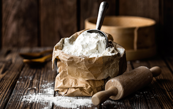 Allergen Deep Dive: Lupin Allergen Deep Dive: Lupin