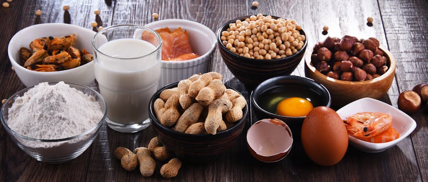 Allergen Deep Dive: Lupin - 14 major food allergens