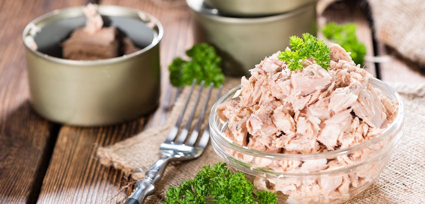 Allergen Deep Dive: Soya - Tuna containing soya