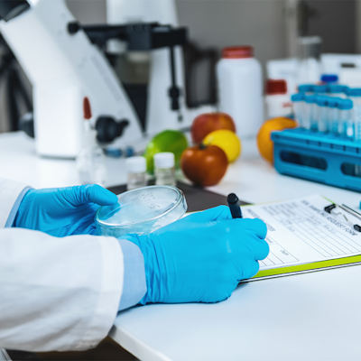 Erudus United Around Food Data Erudus United Around Food Data