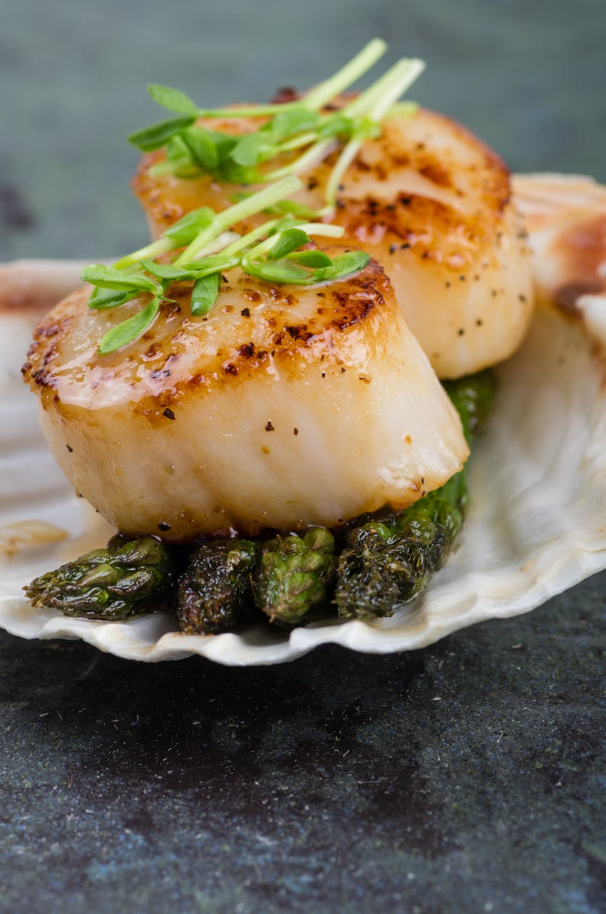 Allergen Deep Dive: Molluscs - Scallops