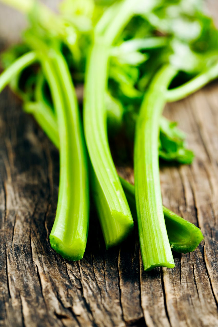 Allergen Deep Dive: Celery - Celery stalks with leaves
