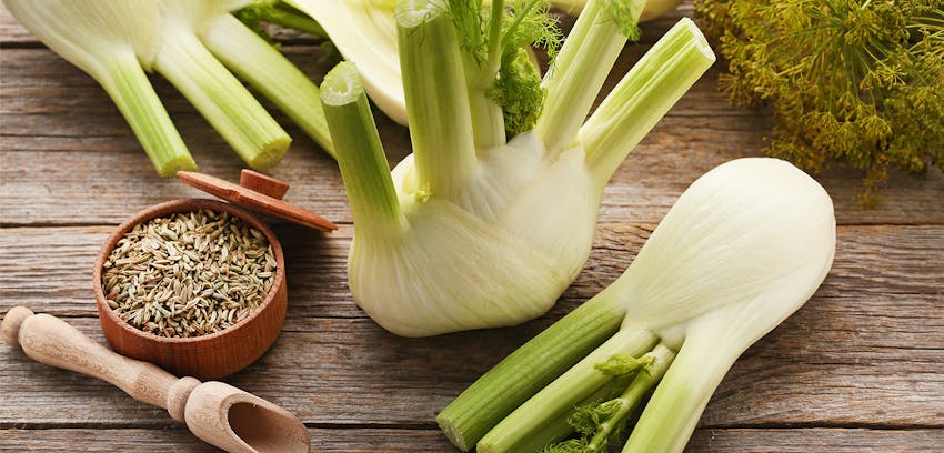 Allergen Deep Dive: Celery - Fennel, an alternative to celery