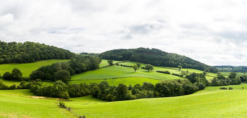 Erudus provides Farm Assured Welsh Livestock certification - Welsh valleys where sheep are farmed