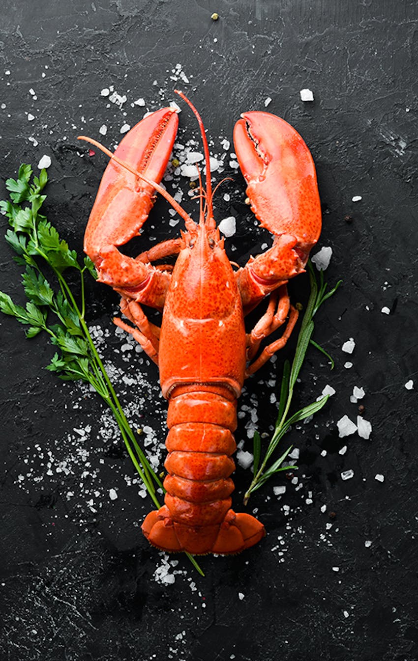 Fish recipes and ideas for Good Friday - Shellfish are not fish 