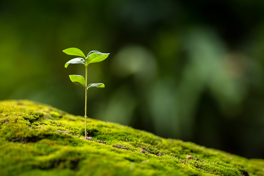 Erudus provides ISO 14001 Certification Erudus provides ISO 14001 Certification
