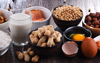 Allergen Deep Dive: Peanuts - the 14 major food allergens Allergen Deep Dive: Peanuts - the 14 major food allergens