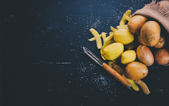 The best potato dishes The best potato dishes