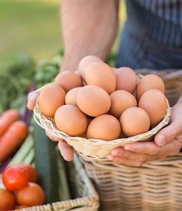 Erudus… Provides Food for Life Supplier Scheme Certification Erudus… Provides Food for Life Supplier Scheme Certification