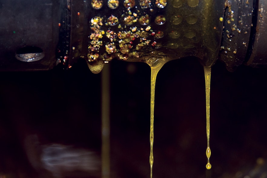 The oil press process Oil Press