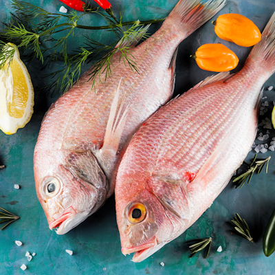 Advice Opinions Inspiration And Fun Features From Erudus Advice Opinions Inspiration And Fun Features From Erudus