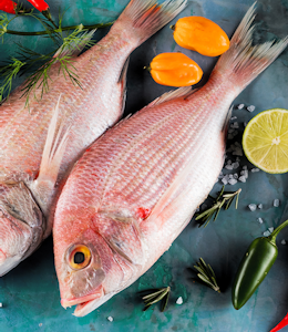 Allergen Deep Dive: Fish  Allergen Deep Dive: Fish