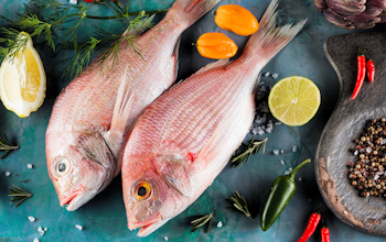 Allergen Deep Dive: Fish  Allergen Deep Dive: Fish