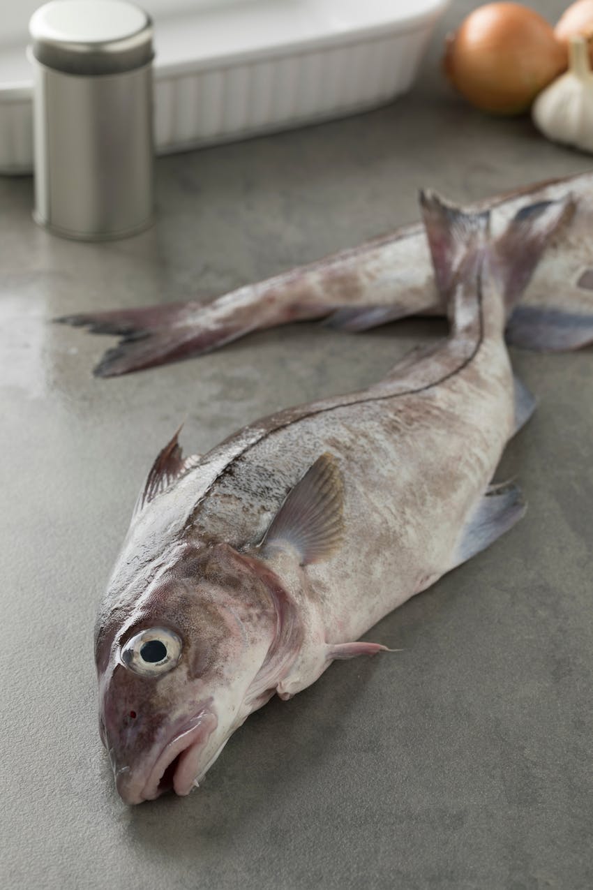 Allergen Deep Dive: Fish - Raw fish with head and gills 