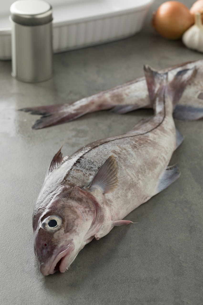 Allergen Deep Dive: Fish - Raw fish with head and gills 