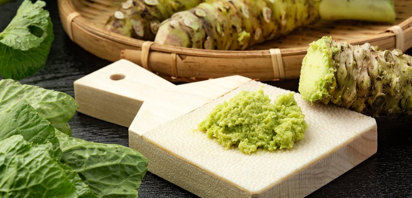 Best condiments - Wasabi 