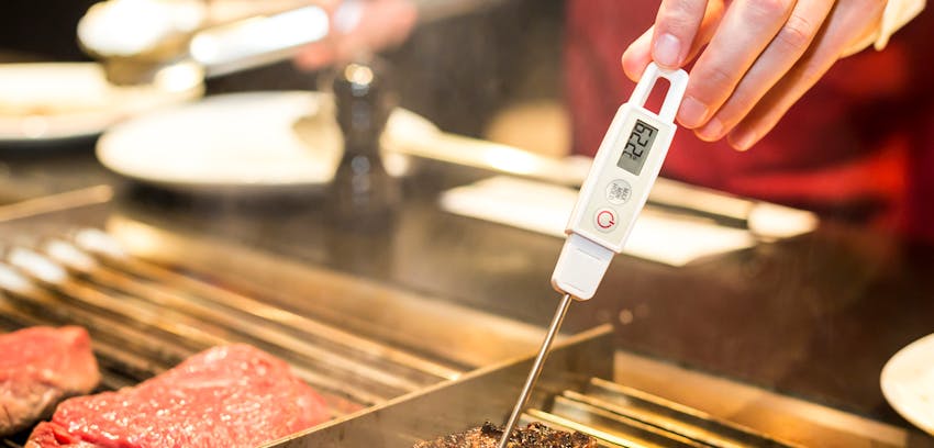 Summer Food Safety - Use a meat thermometer 