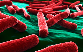 What you need to know about E. coli What you need to know about E. coli