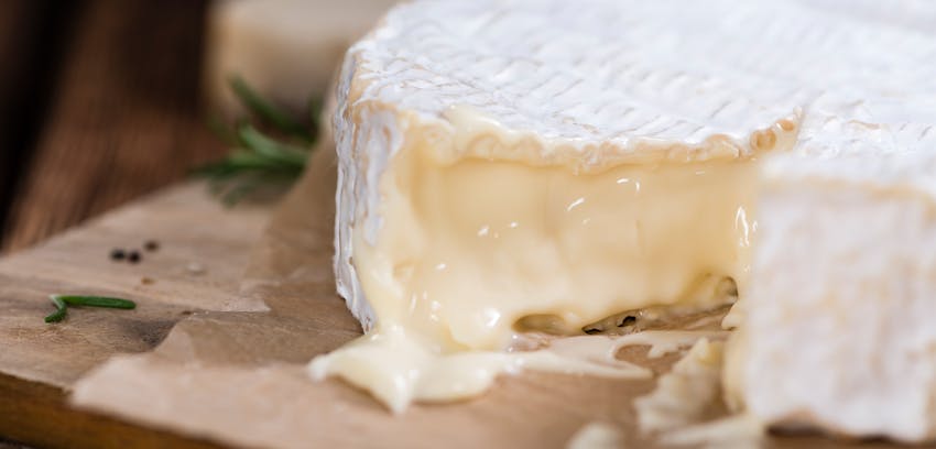 Good wine and cheese pairings - Camembert cheese