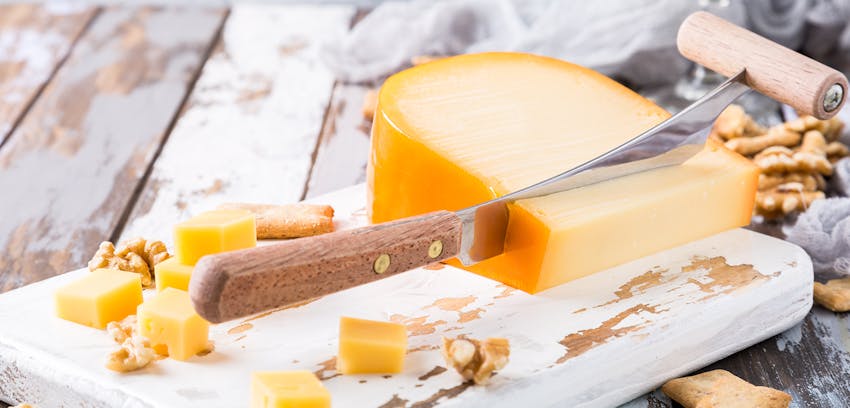 Good wine and cheese pairings - Gouda cheese