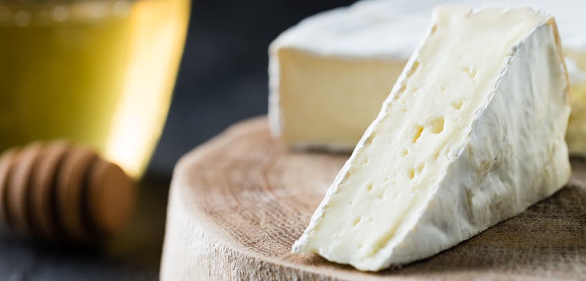Good wine and cheese pairings - Brie cheese