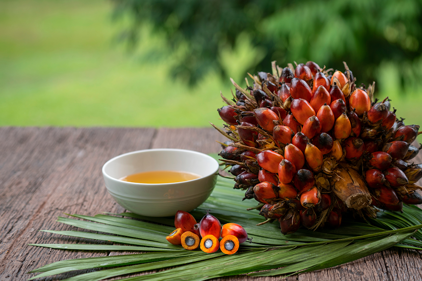 Erudus… Provides Roundtable of Sustainable Palm Oil (RSPO) Certification