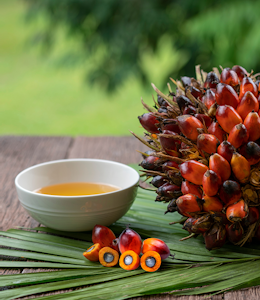 Erudus… Provides Roundtable of Sustainable Palm Oil (RSPO) Certification