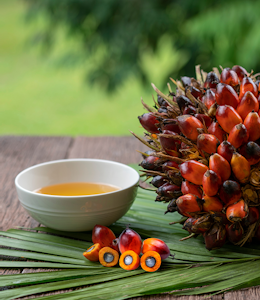 Erudus… Provides Roundtable of Sustainable Palm Oil (RSPO) Certification Erudus… Provides Roundtable of Sustainable Palm Oil (RSPO) Certification