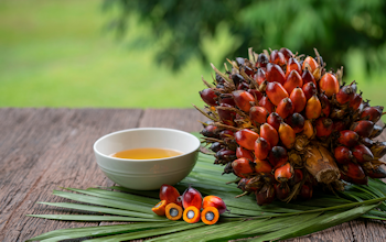 Erudus… Provides Roundtable of Sustainable Palm Oil (RSPO) Certification