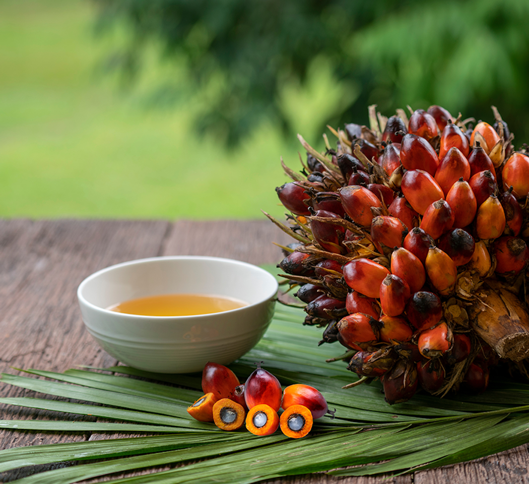 Erudus Provides Best Aquaculture Practices (BAP) Certification Erudus Provides Best Aquaculture Practices (BAP) Certification