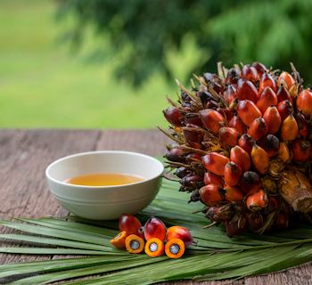 Erudus Provides Best Aquaculture Practices BAP Certification Erudus Provides Best Aquaculture Practices BAP Certification