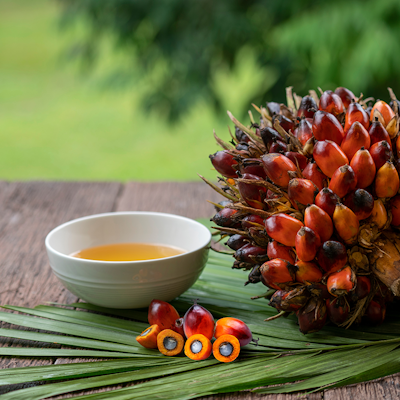 Erudus… Provides Roundtable of Sustainable Palm Oil (RSPO) Certification