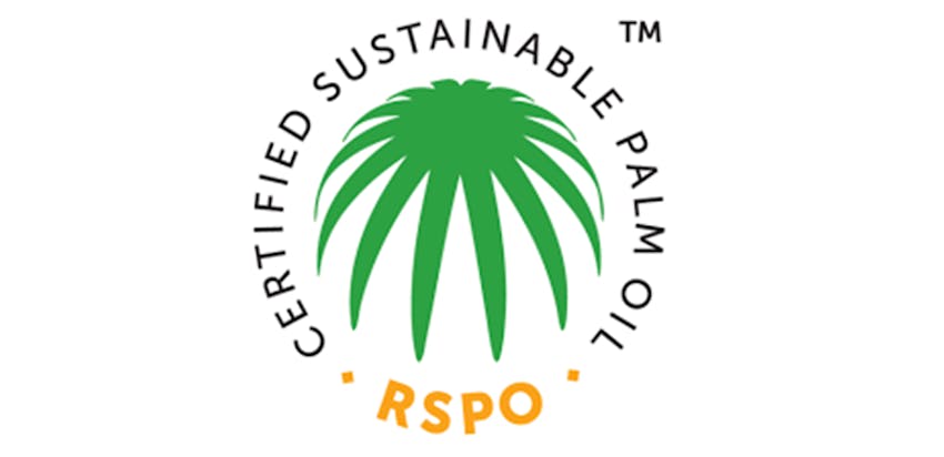 Erudus provides Roundtable of Sustainable Palm Oil certification - palm oil fruit - RSPO logo