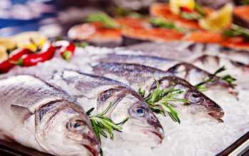 Food Safety Cheat Sheet: Fish and Shellfish Guidance Food Safety Cheat Sheet: Fish and Shellfish Guidance